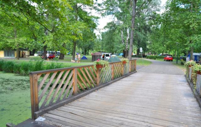 Natur / Fonyód Camping saját partszakasza – fonyódi helyi tipp